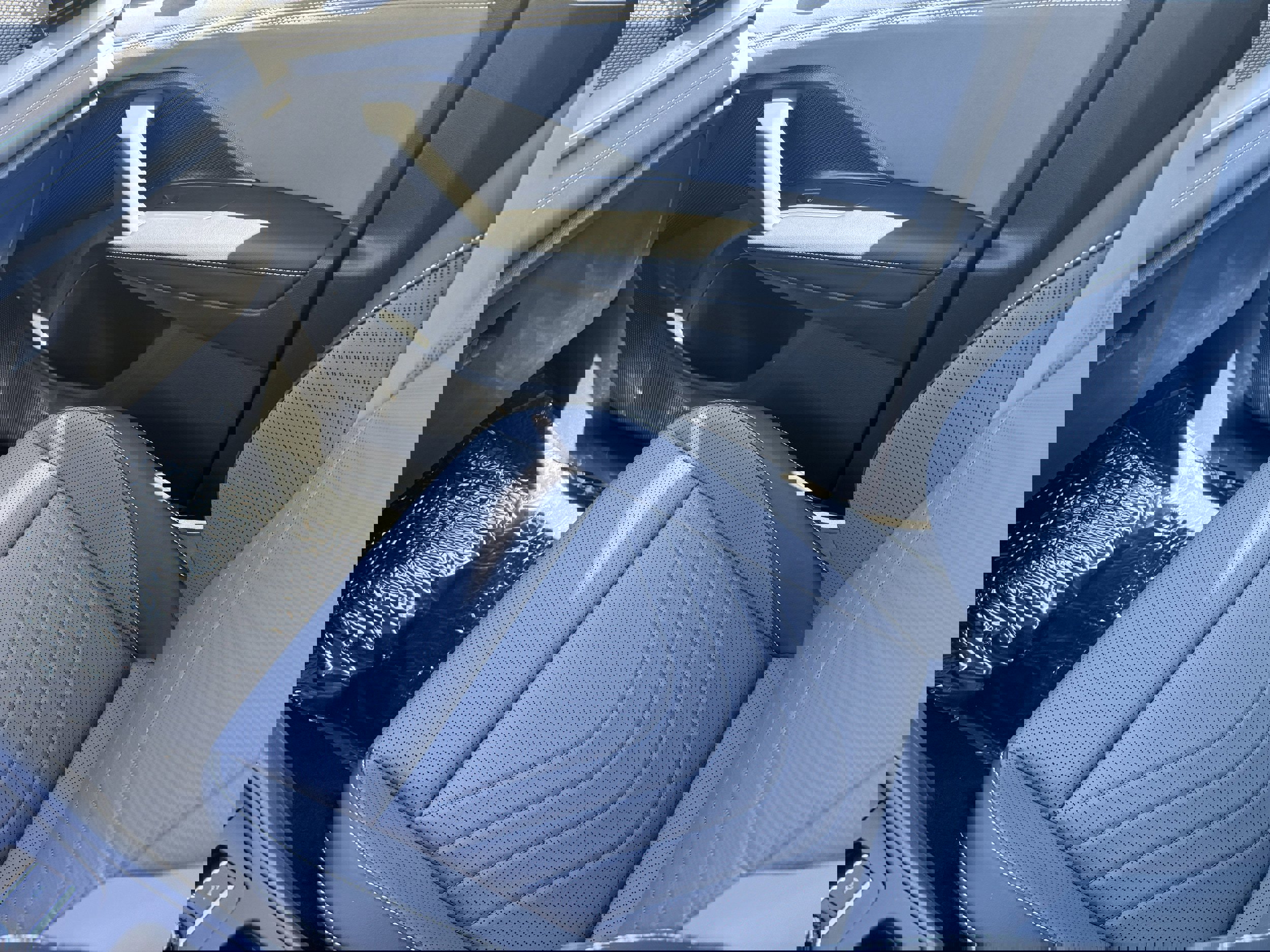 New 2025 Volkswagen Tiguan SE image 14