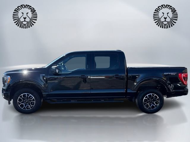Certified 2023 Ford F150 XLT w/ Equipment Group 302A High image 8