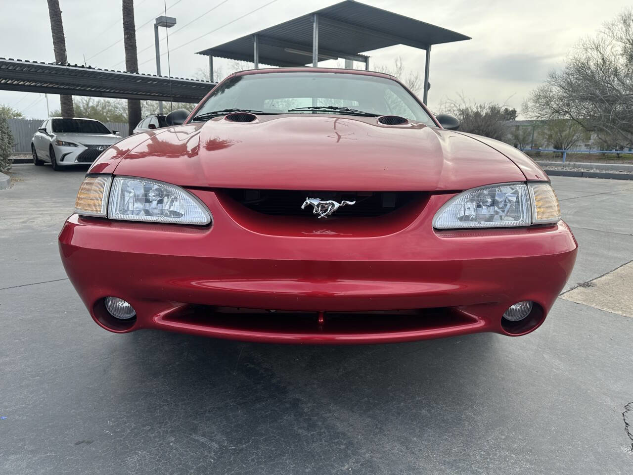 Used 1998 Ford Mustang Cobra image 2