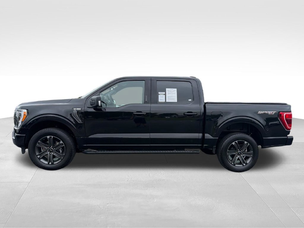 Used 2023 Ford F150 XLT w/ Equipment Group 302A High AWD/4WD image 2