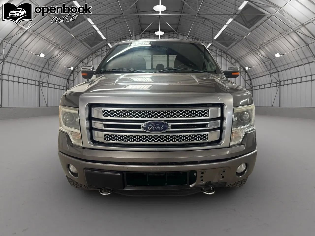 Used 2014 Ford F150 Platinum image 2