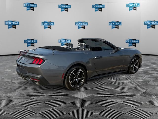 Used 2024 Ford Mustang Premium RWD image 5