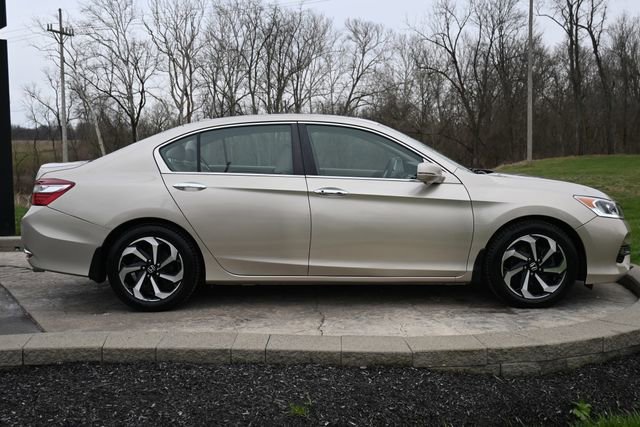 Used 2016 Honda Accord EX-L image 4
