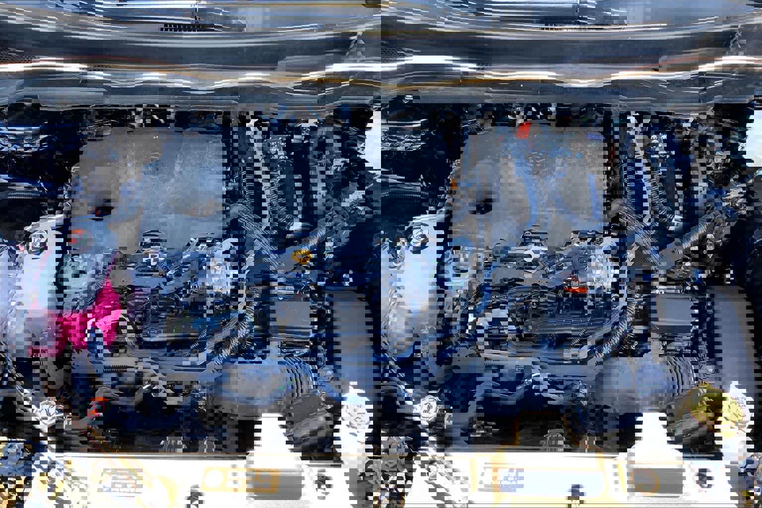 Used 2023 Toyota Sienna XLE image 31