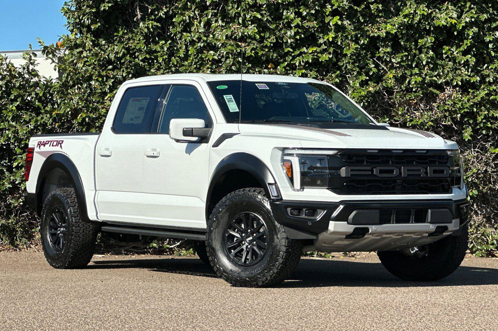 New 2025 Ford F150 Raptor image 1
