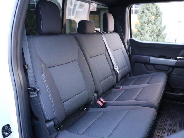 Used 2025 Ford F150 XLT w/ Equipment Group 302A MID image 15
