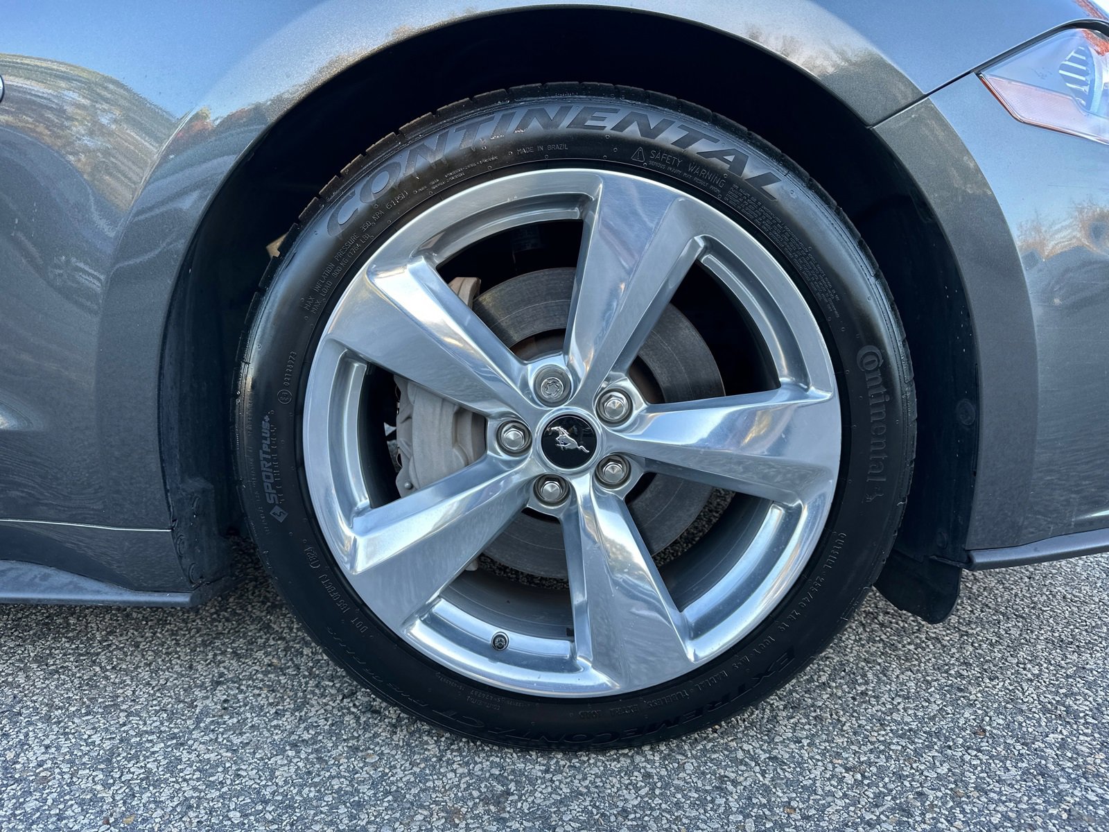 Used 2019 Ford Mustang GT Premium w/ Equipment Group 401A image 12