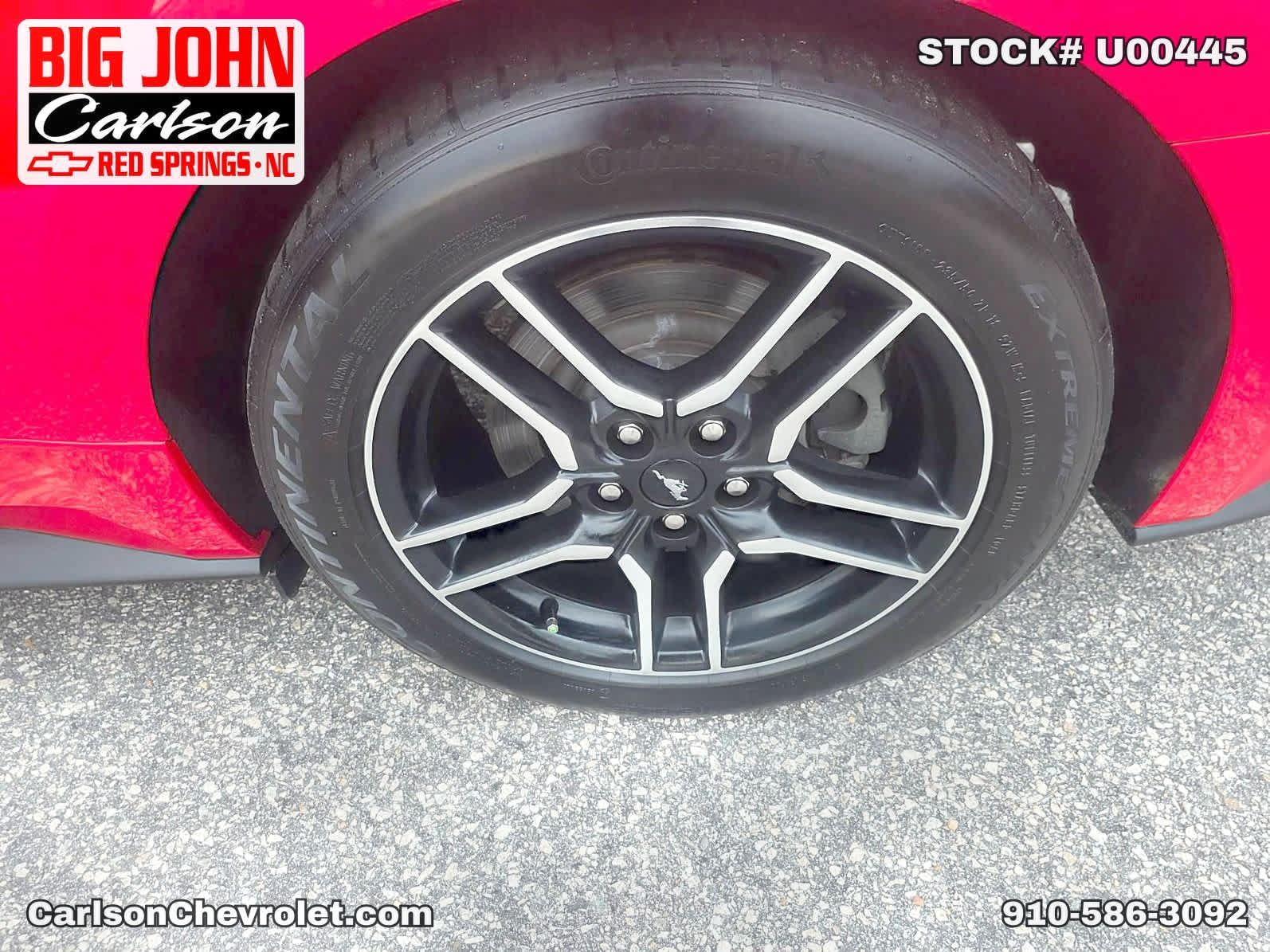 Used 2019 Ford Mustang GT RWD image 31