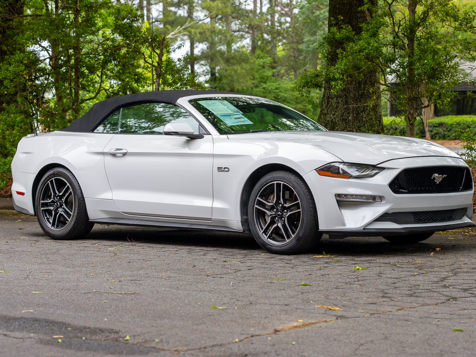 Used 2019 Ford Mustang GT Premium w/ Equipment Group 401A RWD image 47