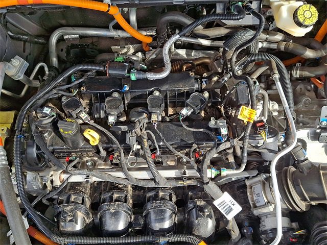 Certified 2024 Ford Maverick Lariat image 28