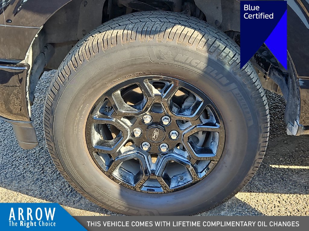 Certified 2024 Ford F150 XLT w/ Equipment Group 302A MID AWD/4WD image 17