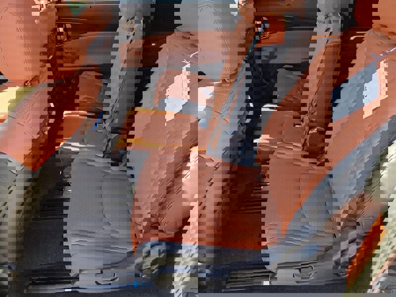 New 2026 Kia Carnival SX Prestige image 8