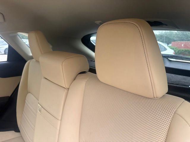 Used 2019 Lexus NX 300h AWD w/ Premium Package image 8