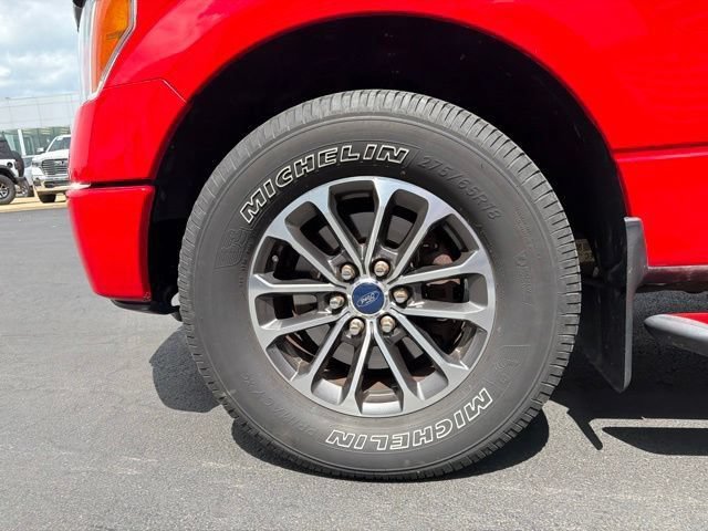 Used 2012 Ford F150 XLT w/ XLT Custom Pkg RWD image 13