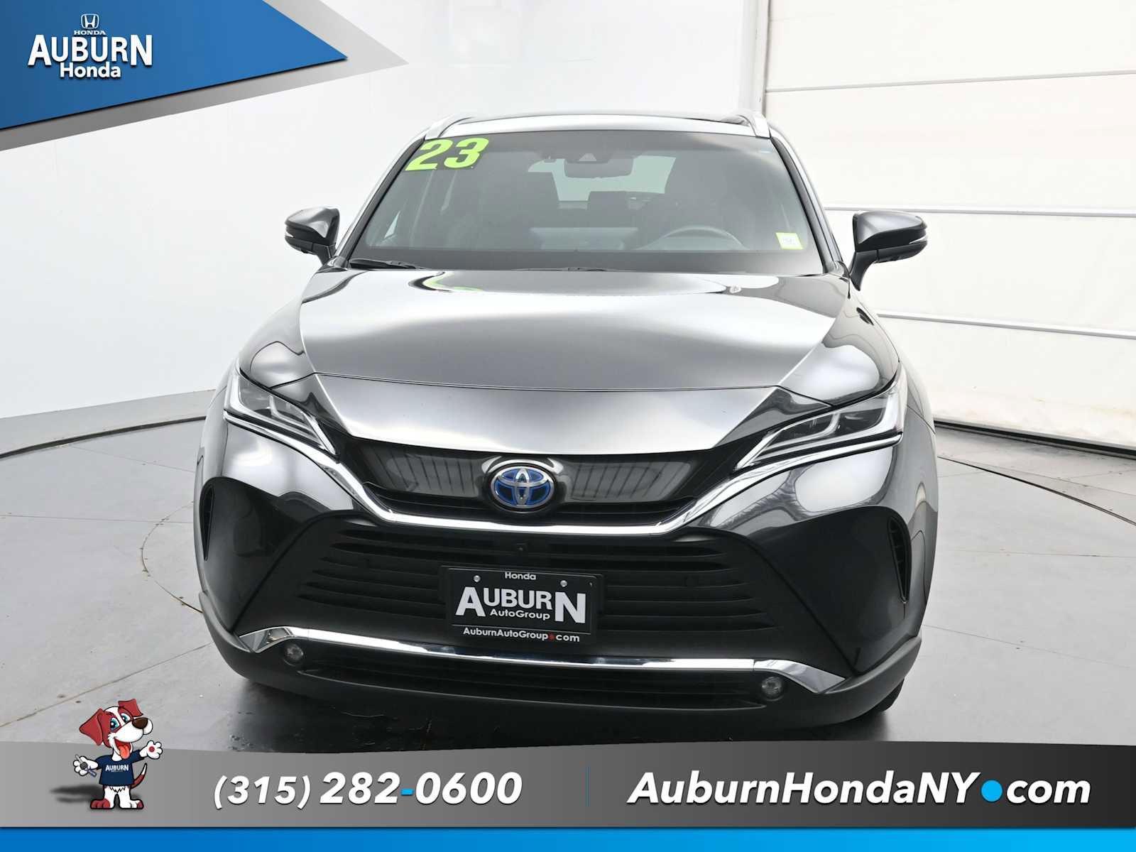 Used 2023 Toyota Venza Limited image 3