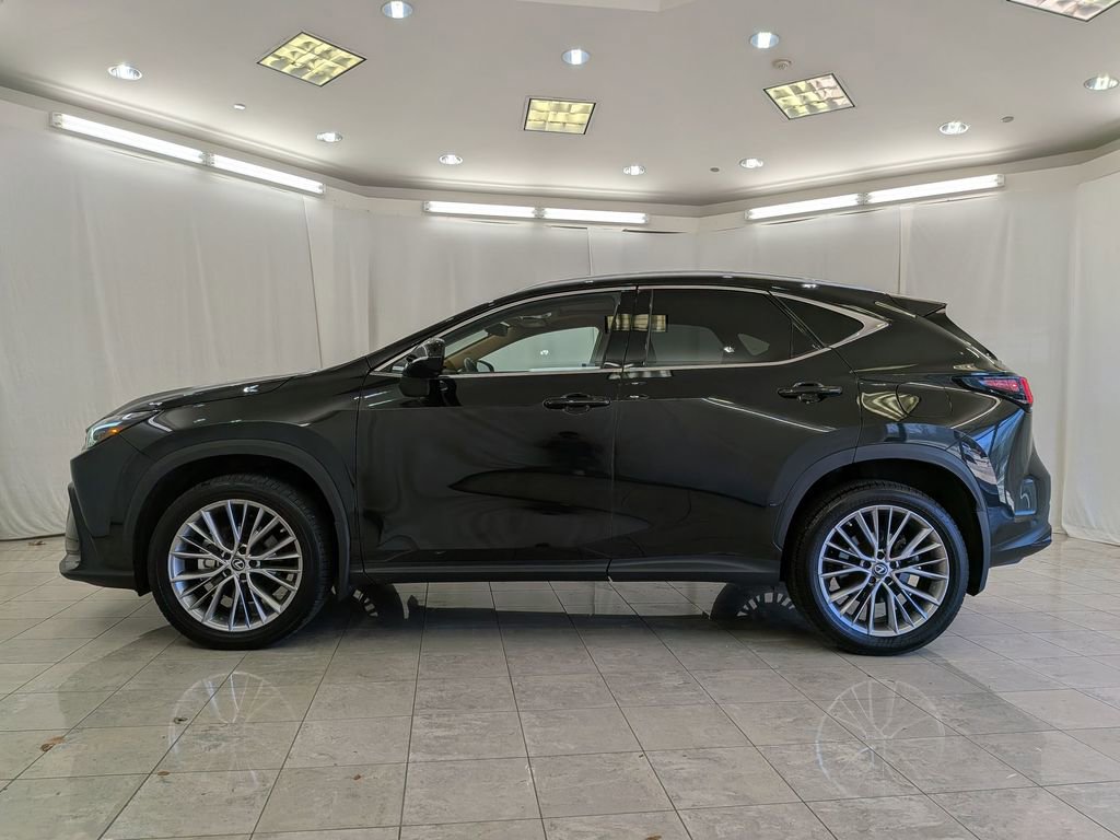 Used 2023 Lexus NX 350 AWD w/ Cold Area Package image 5