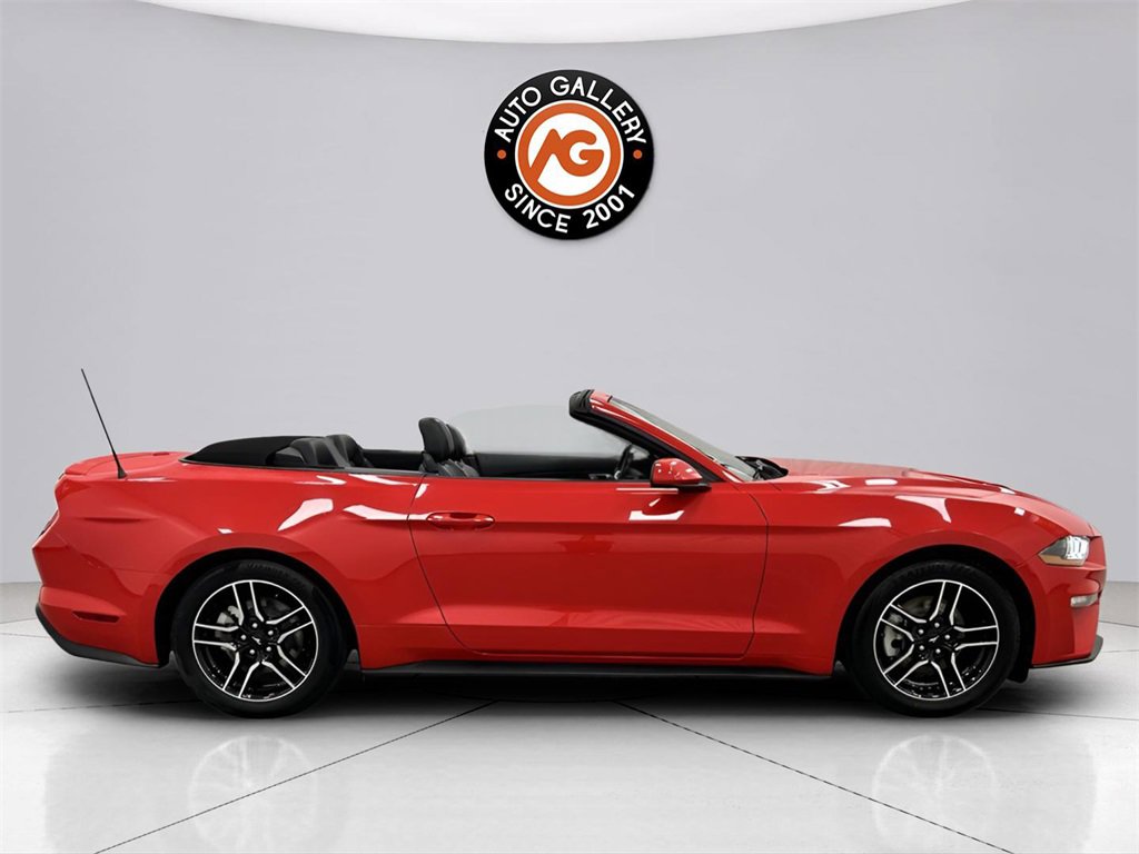 Used 2023 Ford Mustang Premium image 13