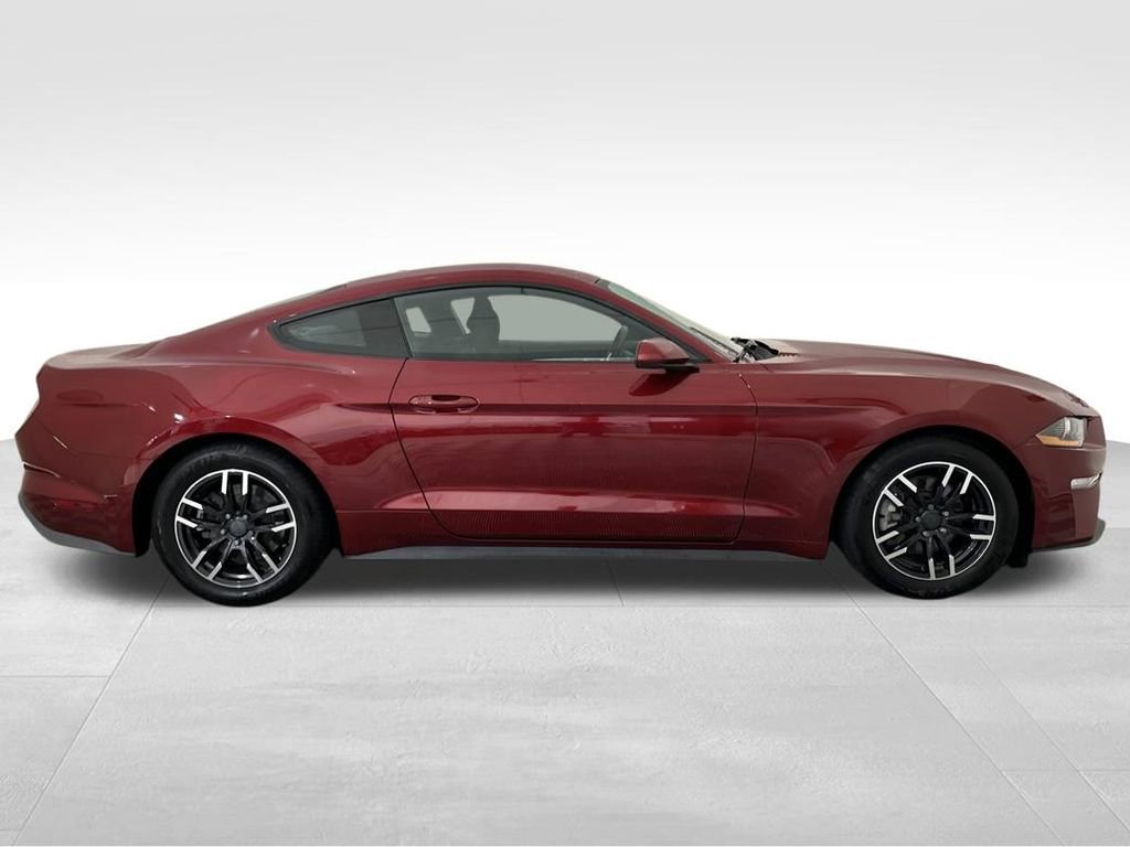 Used 2019 Ford Mustang EcoBoost image 7