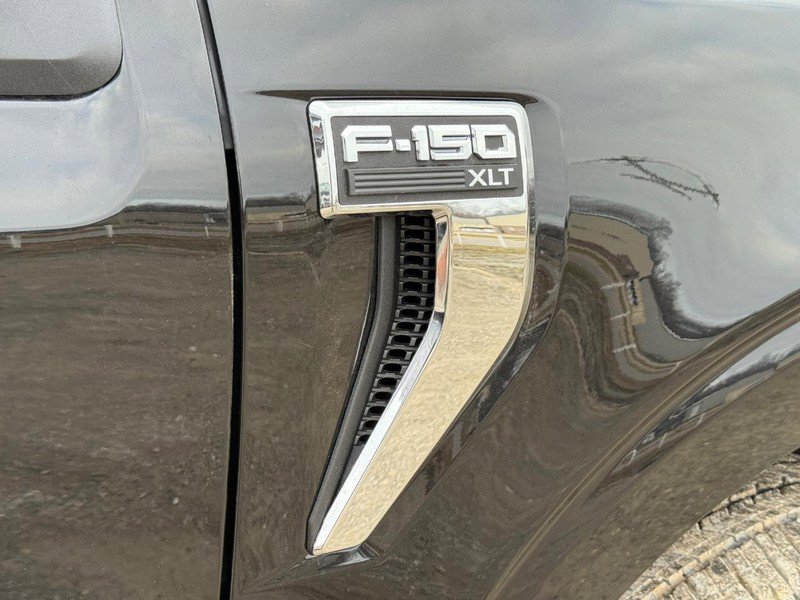 New 2025 Ford F150 XLT w/ Equipment Group 302A MID image 5