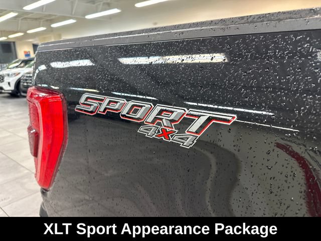 Used 2023 Ford F150 XLT w/ Equipment Group 302A High AWD/4WD image 10