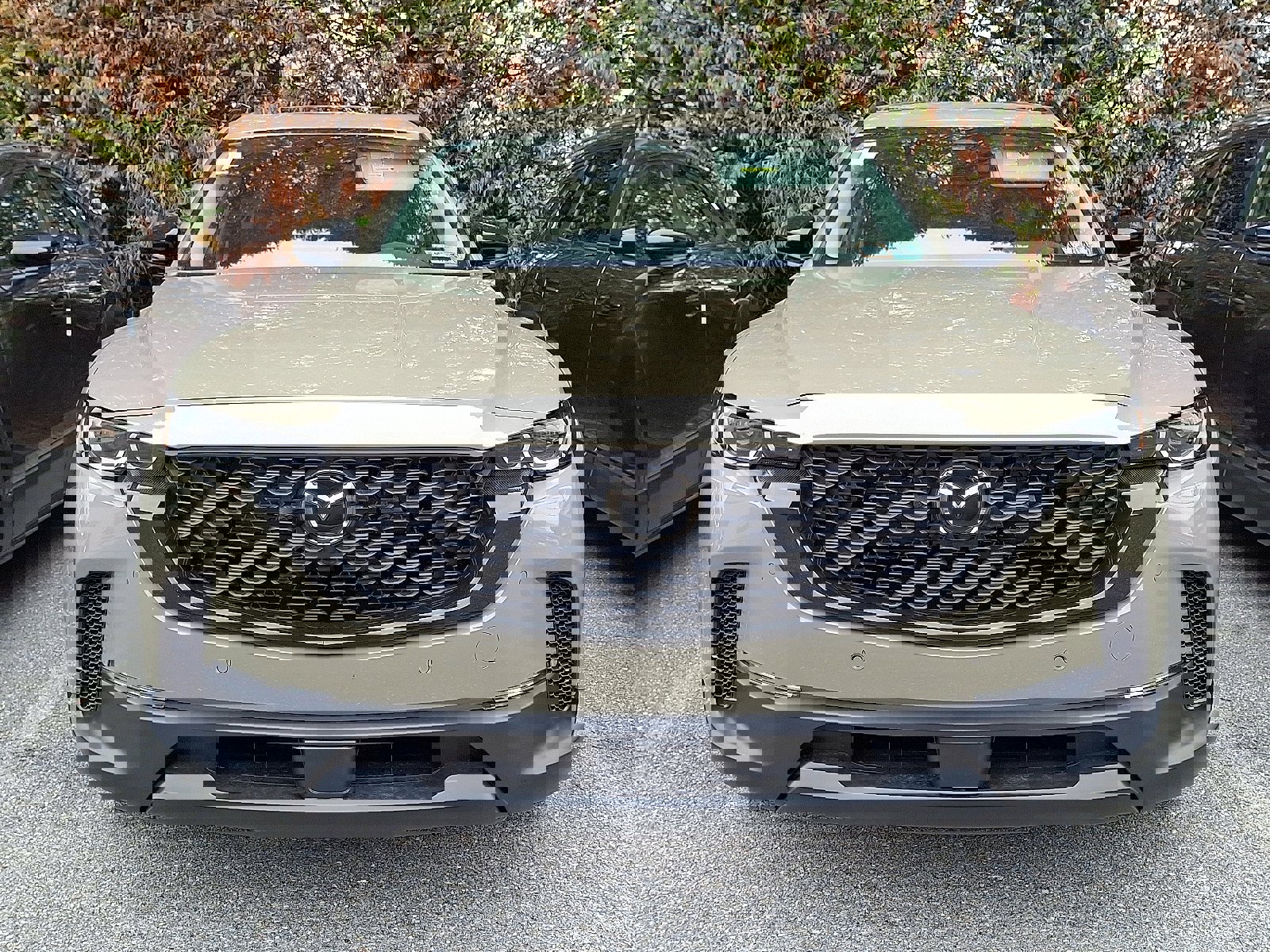 New 2026 MAZDA CX-50 Meridian Edition w/ Weather Package image 2