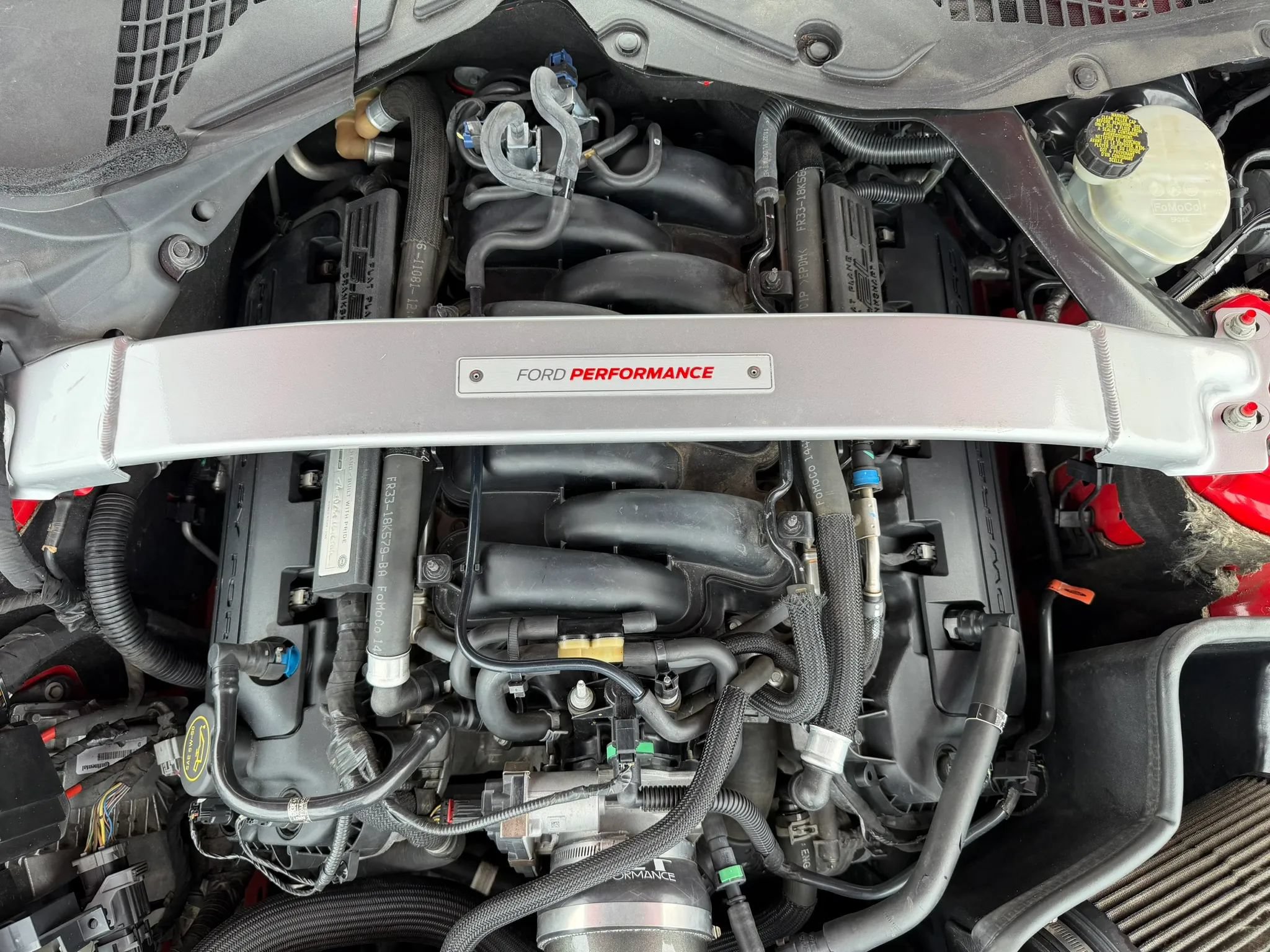 Used 2017 Ford Mustang Shelby GT350 RWD image 13