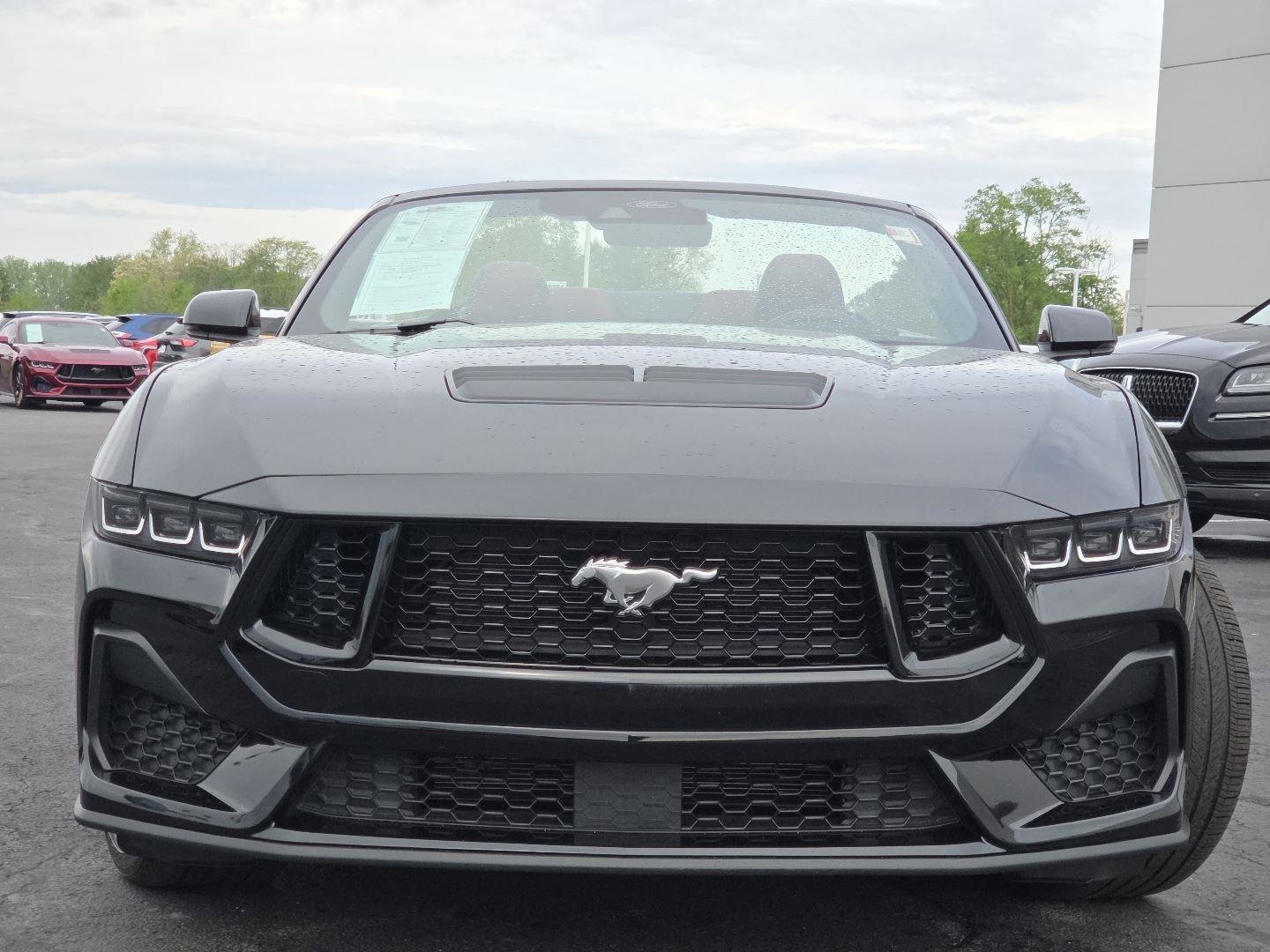 Used 2025 Ford Mustang GT Premium RWD image 12