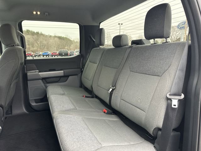 Used 2025 Ford F150 XLT w/ Equipment Group 301A Standard image 25