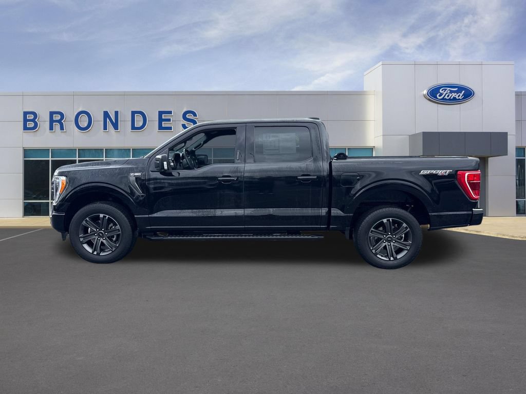 Used 2023 Ford F150 XLT w/ Equipment Group 302A High