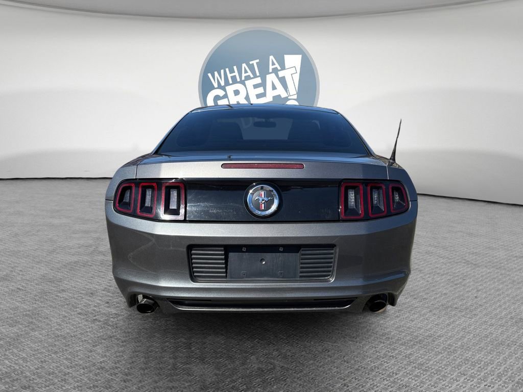 Used 2014 Ford Mustang Coupe w/ Equipment Group 102A image 5