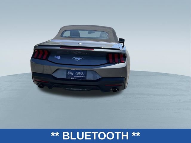 Used 2024 Ford Mustang Premium RWD image 4