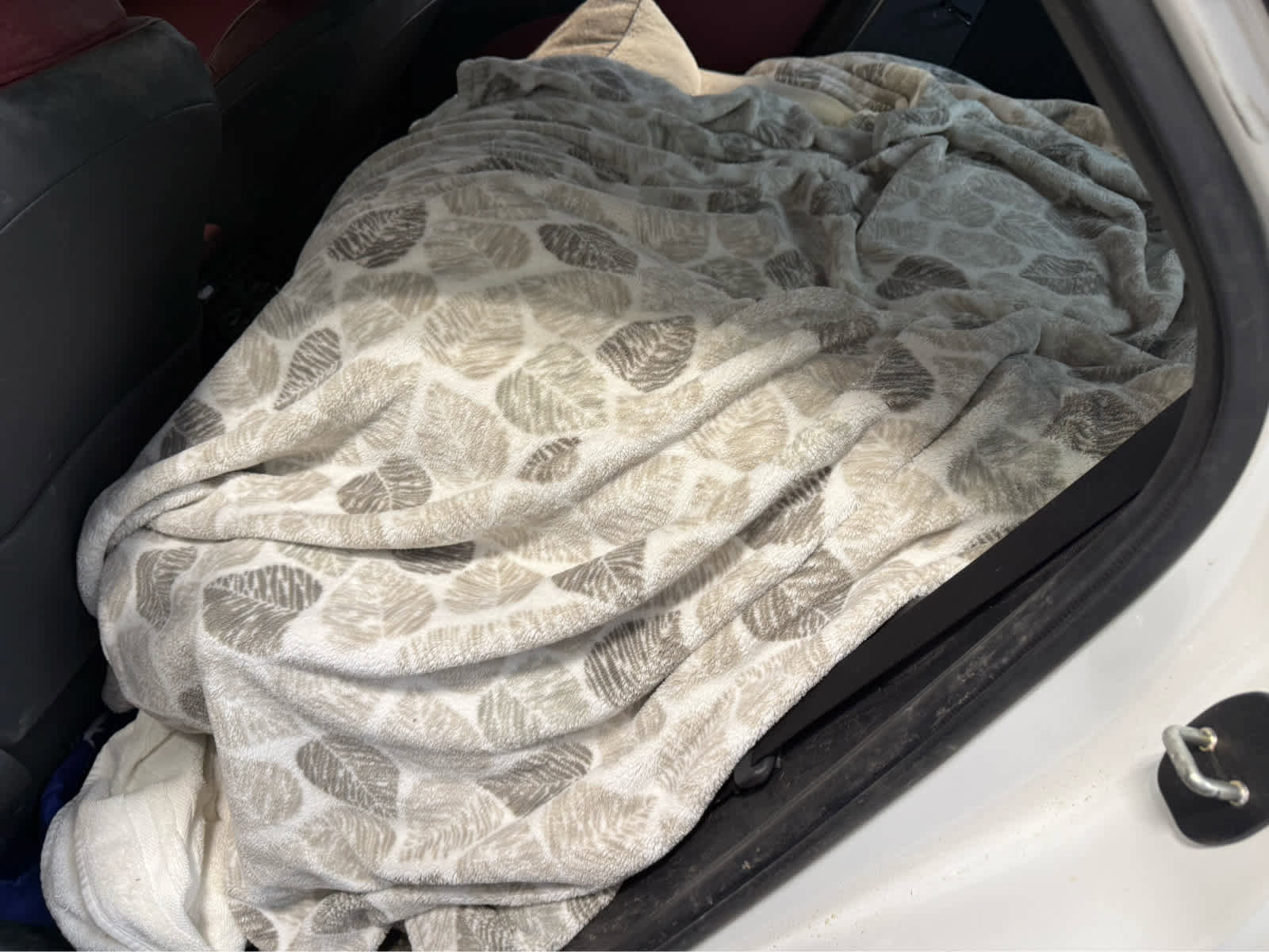 Certified 2025 Lexus NX 350h AWD w/ Cold Area Package image 4