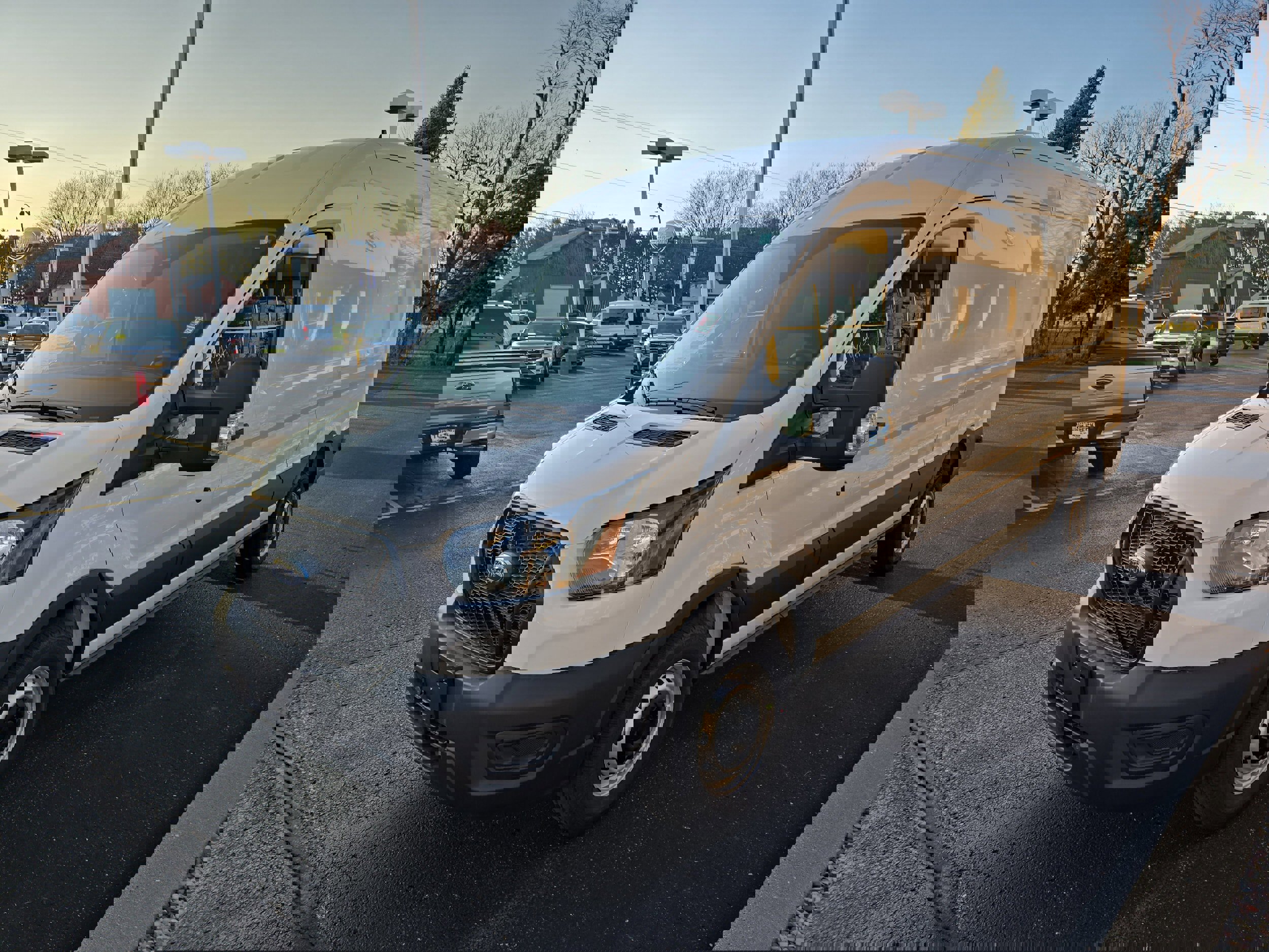 New 2025 Ford Transit 250 148 Medium Roof w/ Load Area Protection Package image 4