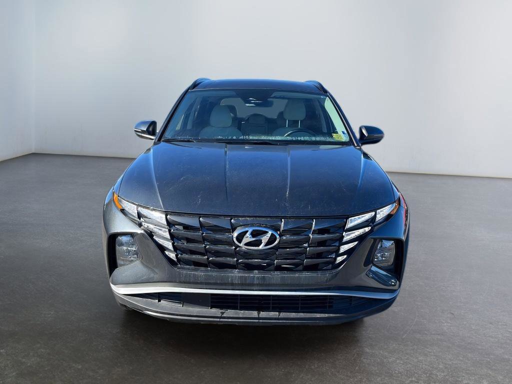 New 2024 Hyundai Tucson SEL w/ Convenience Package image 8