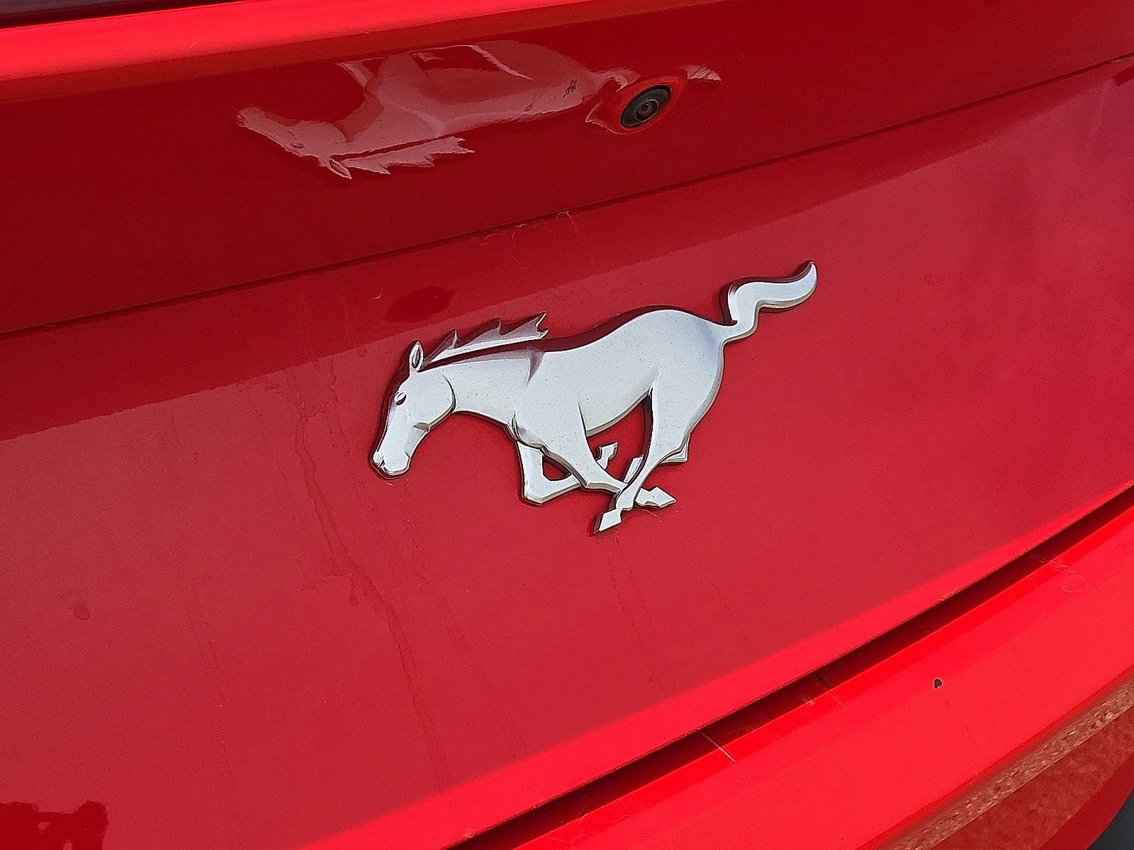 Used 2024 Ford Mustang Premium RWD image 12