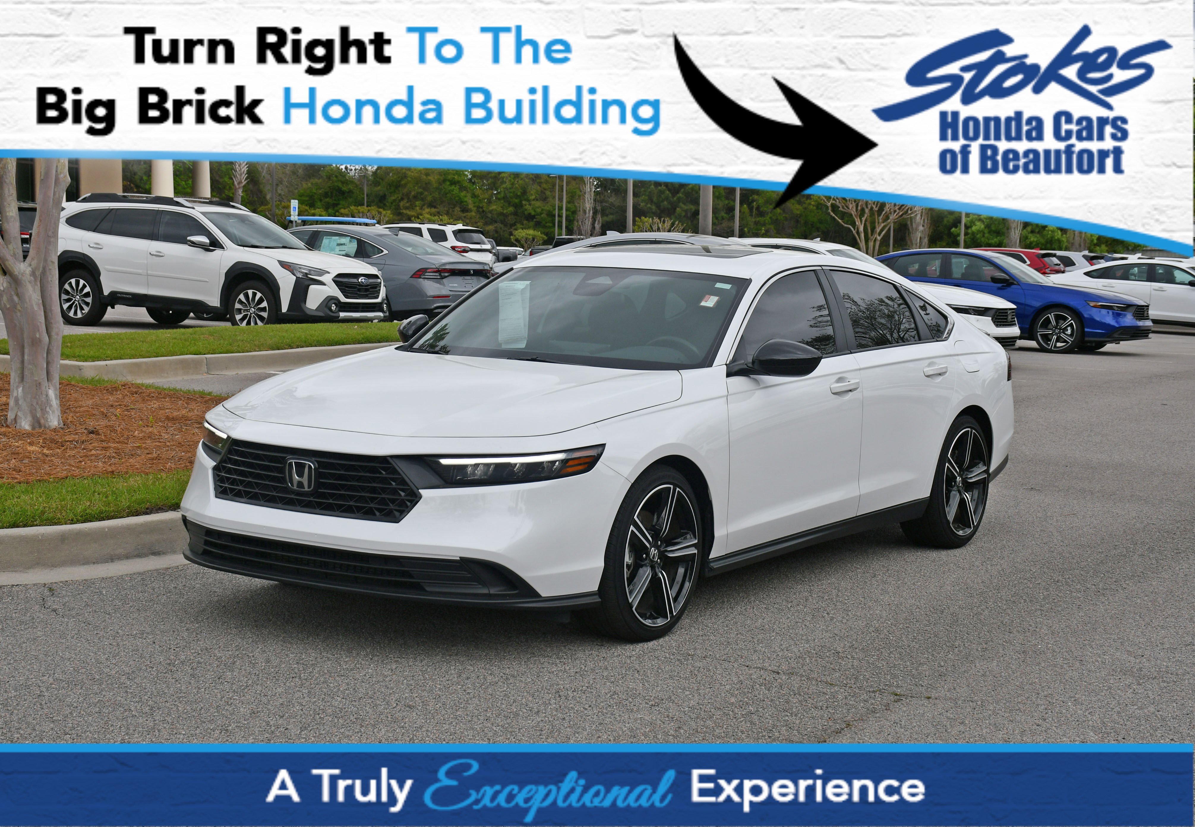 Used 2025 Honda Accord Sport image 1