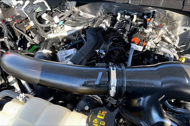 Used 2025 Ford F150 XLT w/ Equipment Group 301A Standard AWD/4WD image 31