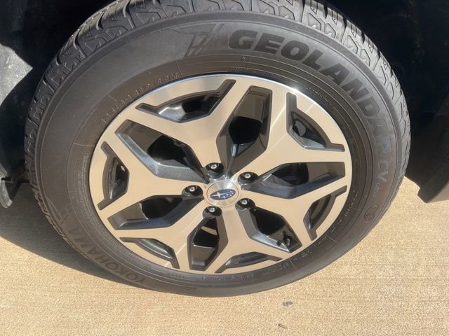 Used 2023 Subaru Forester Premium image 14