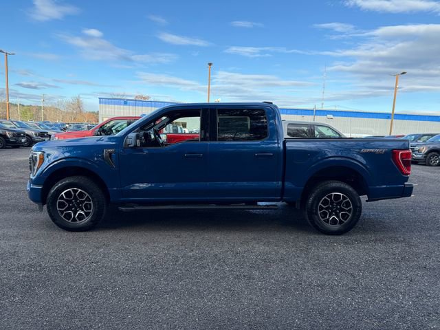 Used 2023 Ford F150 XLT w/ Equipment Group 302A High image 2