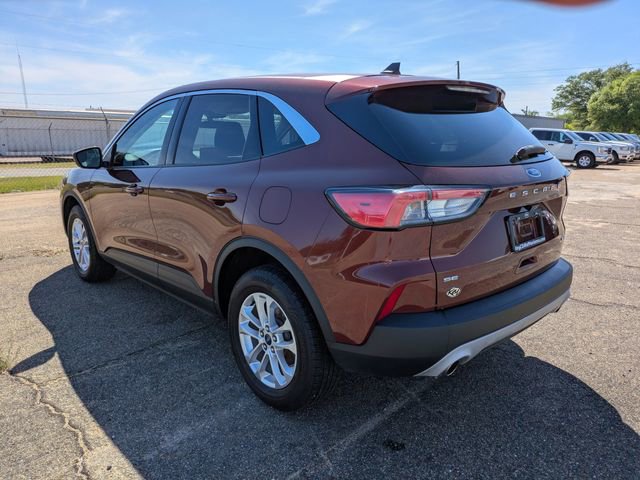 Used 2021 Ford Escape SE AWD/4WD image 6
