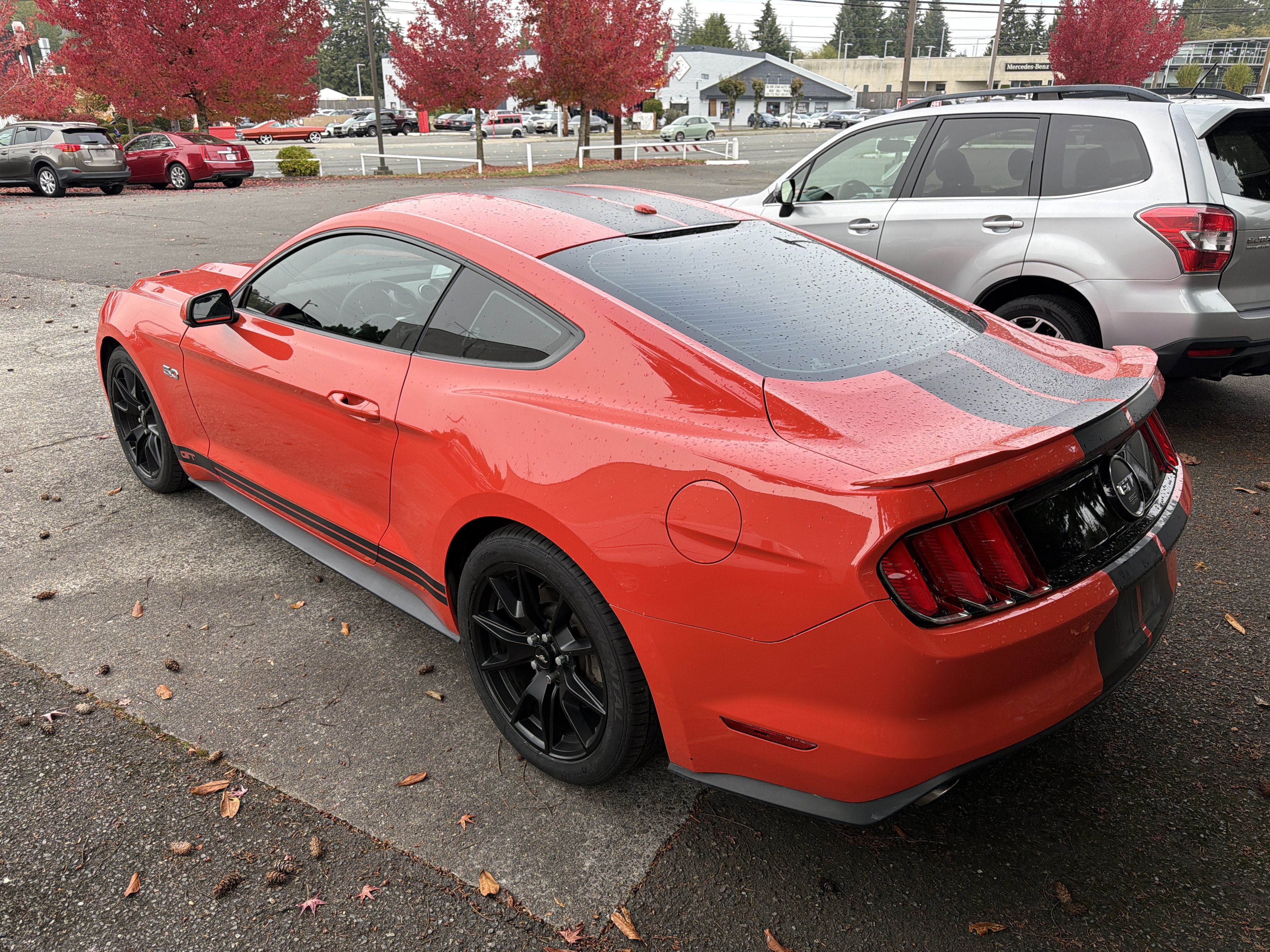 Used 2015 Ford Mustang GT Premium w/ Equipment Group 401A RWD image 3