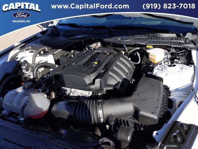 Used 2019 Ford Mustang Premium w/ Equipment Group 201A RWD image 42