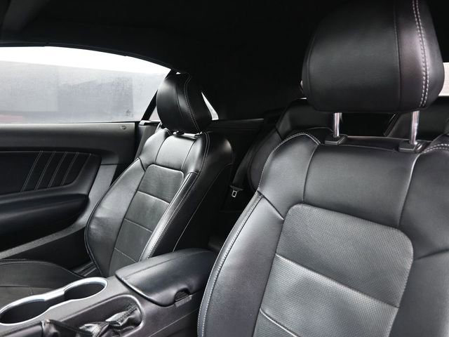 Used 2019 Ford Mustang Premium RWD image 2