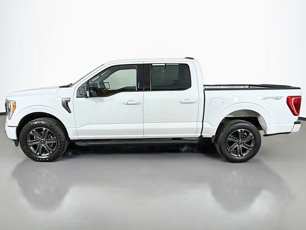 Used 2023 Ford F150 XLT w/ Equipment Group 302A High AWD/4WD image 16