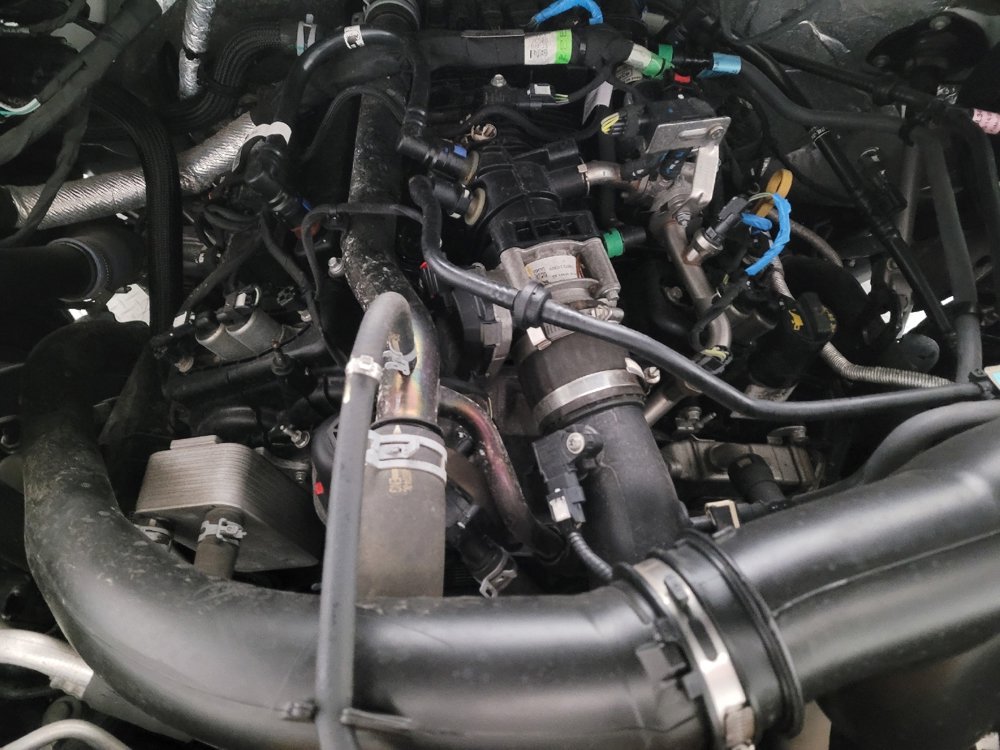 Used 2019 Ford F150 XLT w/ Equipment Group 302A Luxury image 30