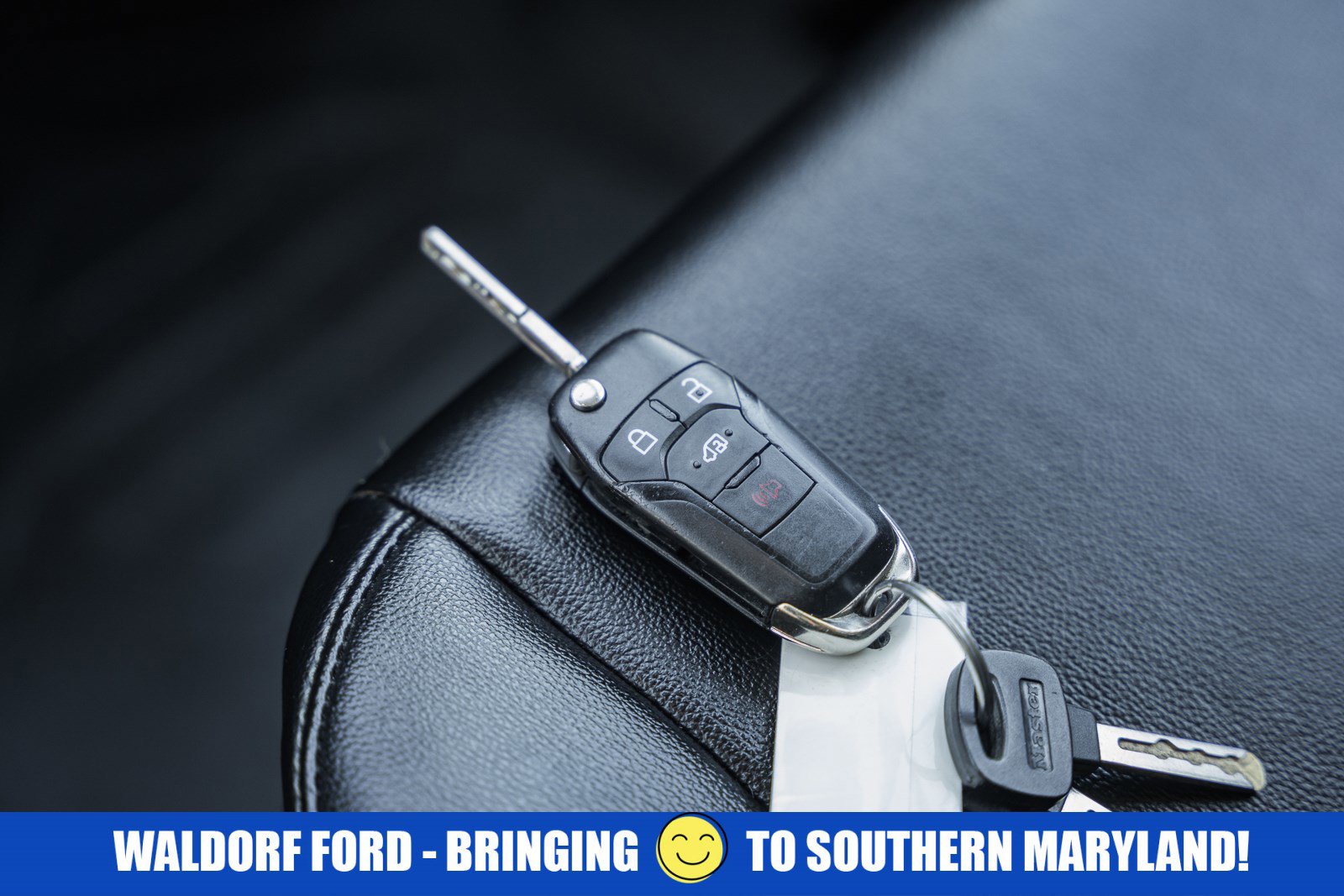 Used 2021 Ford Transit 250 Low Roof image 45