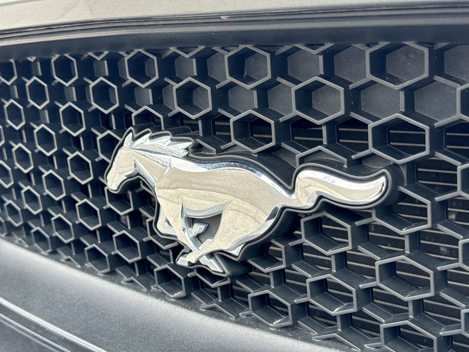 Used 2015 Ford Mustang GT Premium w/ Equipment Group 401A RWD image 9