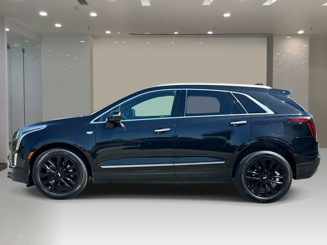 Used 2021 Cadillac XT5 Premium Luxury AWD/4WD image 2