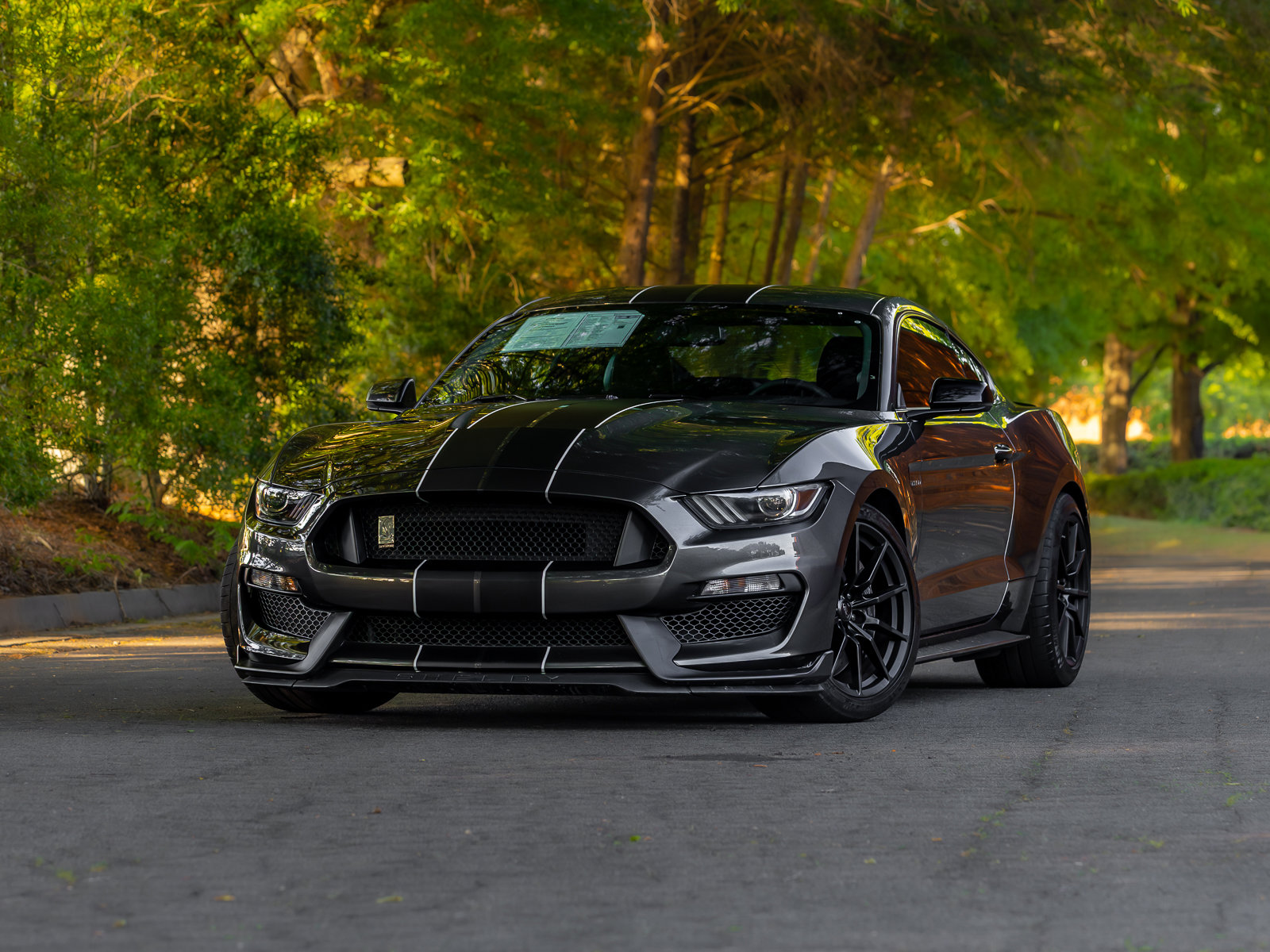 Used 2016 Ford Mustang Shelby GT350 w/ Technology Package RWD image 2
