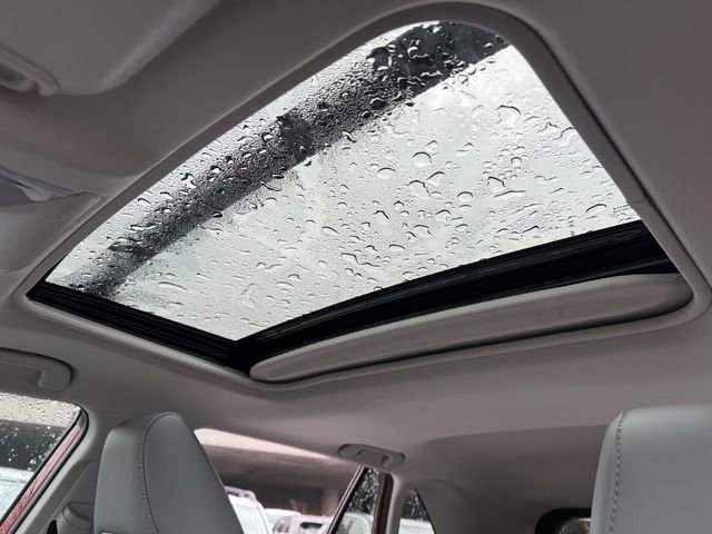 New 2025 Toyota RAV4 XLE Premium image 7